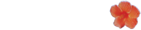 Baylys Beach Holiday Park Logo